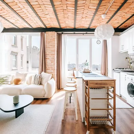 公寓 Luxury Flat Next To Galata And Metro W View *